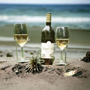 NIB Wine Stakes 3-pc Picnic Set SORBUS Picnic Sticks Wine Glass & Bottle Holders